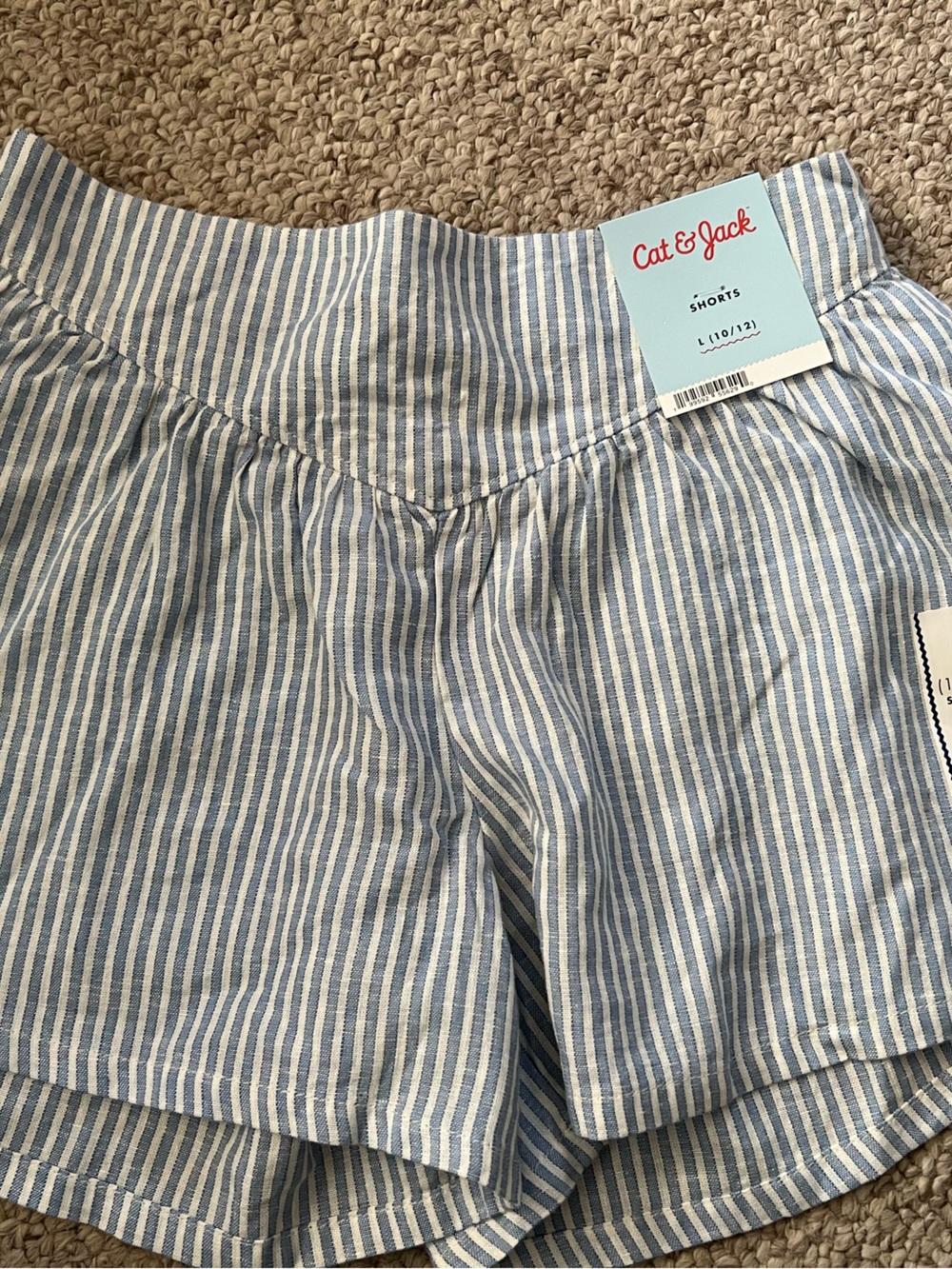 Cat & Jack Light Blue and White Striped Shorts
